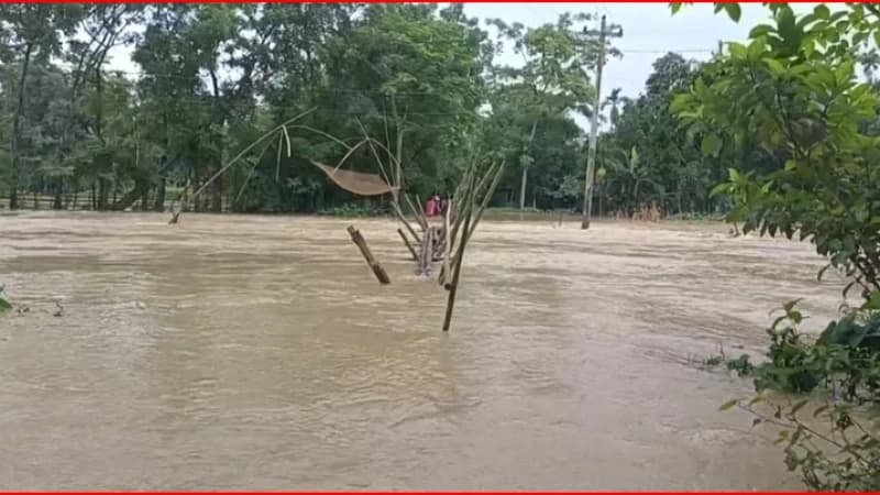 পাহাড়ি ঢলে হালুয়াঘাটের নিম্নাঞ্চল প্লাবিত, পানিবন্দি হাজারো মানুষ পাহাড়ি ঢলে হালুয়াঘাটের নিম্নাঞ্চল প্লাবিত, পানিবন্দি হাজারো মানুষ