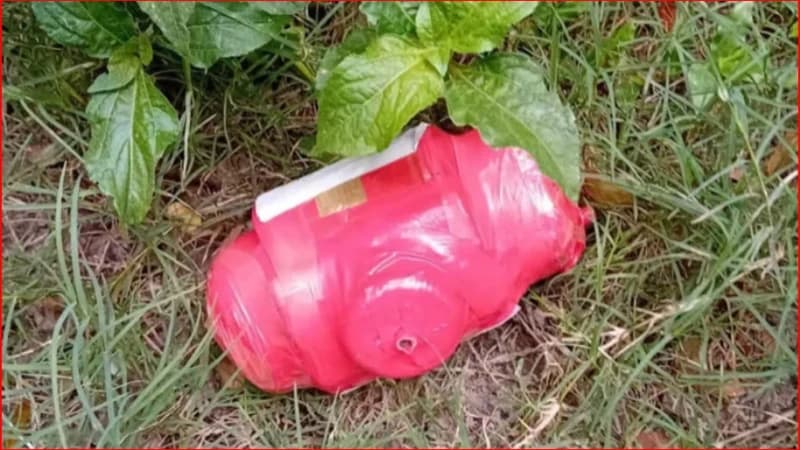 চুয়াডাঙ্গায় ‘জয় বাংলা’ লেখা বোমাসদৃশ বস্তু উদ্ধার চুয়াডাঙ্গায় ‘জয় বাংলা’ লেখা বোমাসদৃশ বস্তু উদ্ধার