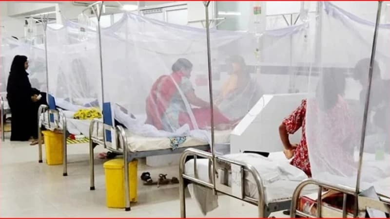 ডেঙ্গুতে আরও দুইজনের মৃত্যু, ২৪ ঘণ্টায় হাসপাতালে ভর্তি ১৫৭ ডেঙ্গুতে আরও দুইজনের মৃত্যু, ২৪ ঘণ্টায় হাসপাতালে ভর্তি ১৫৭