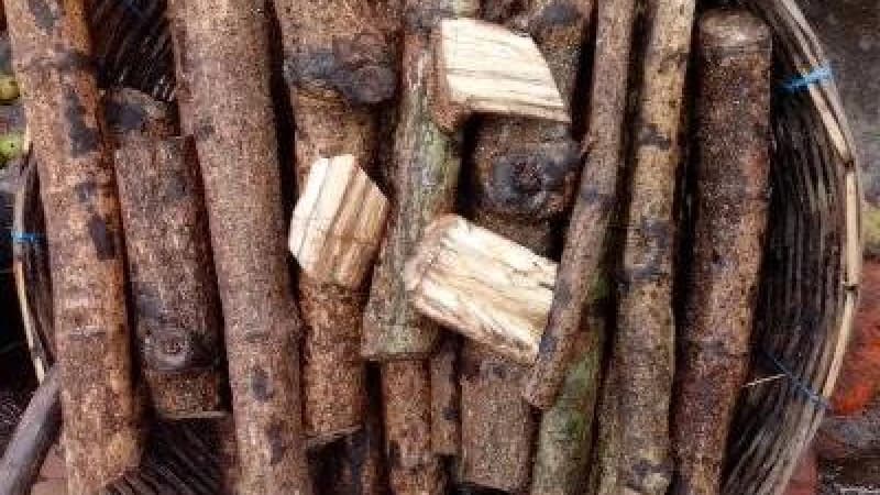 চুইঝালের উপকারিতা চুইঝালের উপকারিতা