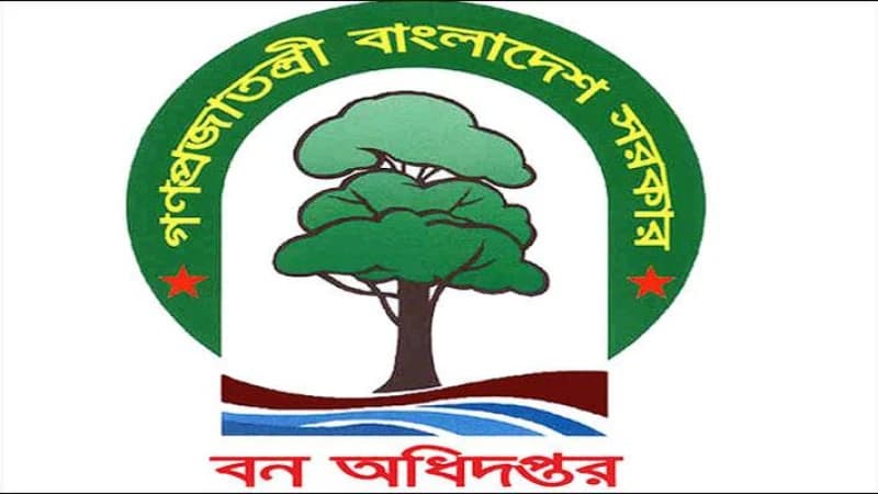 বন অধিদপ্তরের ব্যবহারিক পরীক্ষার ফল প্রকাশ, উত্তীর্ণ ৪৭৬ জন বন অধিদপ্তরের ব্যবহারিক পরীক্ষার ফল প্রকাশ, উত্তীর্ণ ৪৭৬ জন