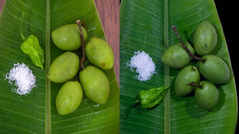 যেভাবে ঘরোয়া পদ্ধতিতে জলপাই সংরক্ষণ করবেন যেভাবে ঘরোয়া পদ্ধতিতে জলপাই সংরক্ষণ করবেন