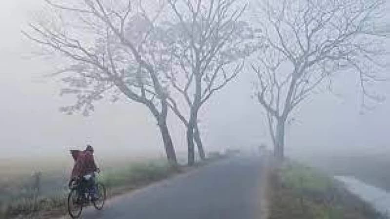 শীতকালে উষ্ণ আবহাওয়া, পুরোপুরি শীত কবে নামবে? শীতকালে উষ্ণ আবহাওয়া, পুরোপুরি শীত কবে নামবে?
