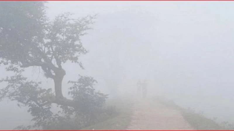 শৈত্যপ্রবাহ নিয়ে যে বার্তা দিলো আবহাওয়া অফিস শৈত্যপ্রবাহ নিয়ে যে বার্তা দিলো আবহাওয়া অফিস