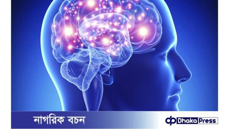 যে ৫ উপায়ে মস্তিষ্কের কার্যক্ষমতা বাড়ানো যায় যে ৫ উপায়ে মস্তিষ্কের কার্যক্ষমতা বাড়ানো যায়
