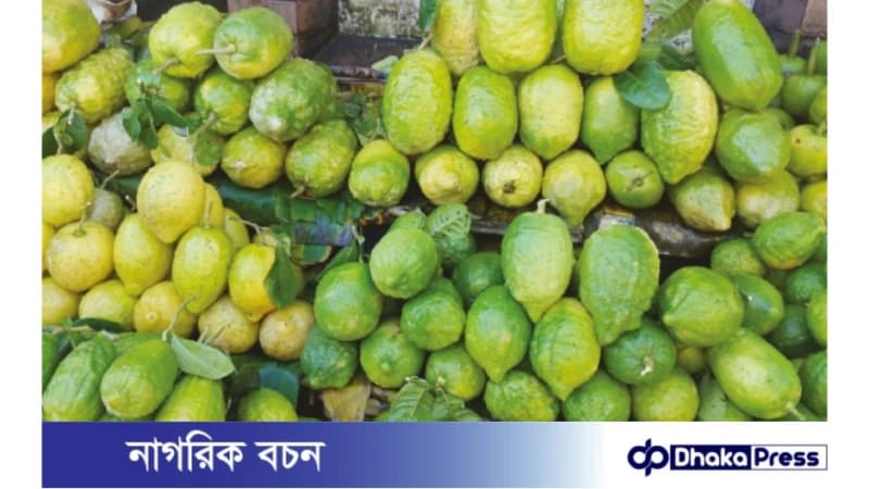 রমজানে লেবুর দাম আকাশচুম্বি: রোজাদারদের হতাশা রমজানে লেবুর দাম আকাশচুম্বি: রোজাদারদের হতাশা