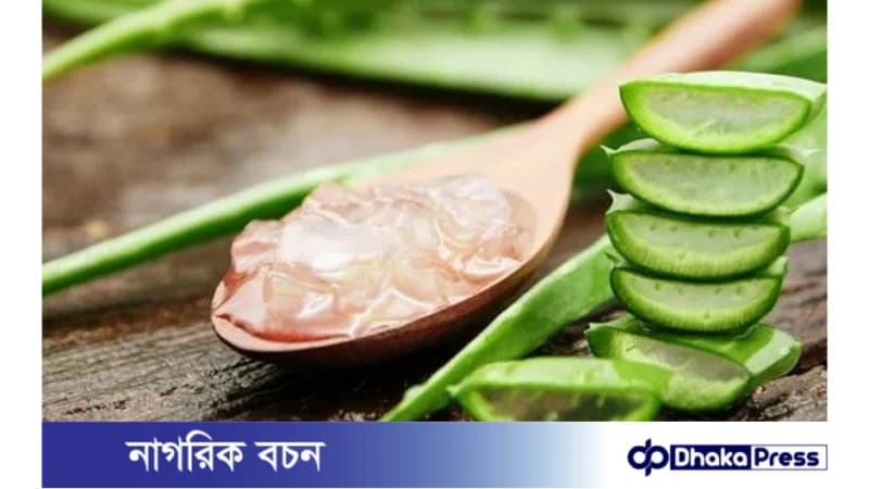 অ্যালোভেরার উপকারিতা ও সতর্কতা অ্যালোভেরার উপকারিতা ও সতর্কতা