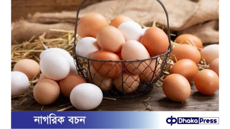 সাদা ডিম বনাম লাল ডিম, কোন ডিমে পুষ্টি বেশি সাদা ডিম বনাম লাল ডিম, কোন ডিমে পুষ্টি বেশি