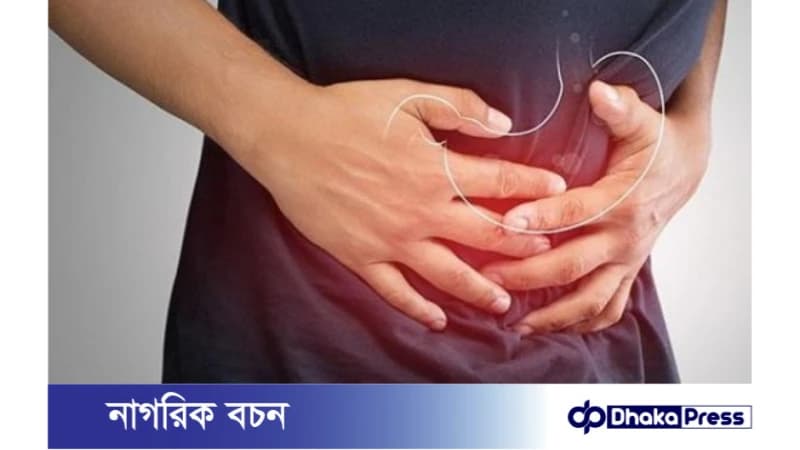 গরমে হজমের সমস্যা দূর করার উপায় গরমে হজমের সমস্যা দূর করার উপায়