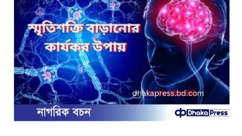 স্মৃতিশক্তি বাড়ানোর কিছু কার্যকর উপায় স্মৃতিশক্তি বাড়ানোর কিছু কার্যকর উপায়