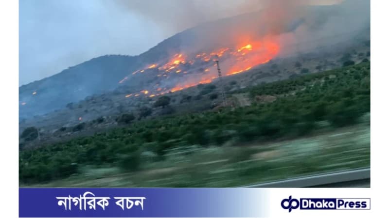 ইসরায়েলে তীব্র দাবানল নিয়ন্ত্রণে লড়াই করছে কর্তৃপক্ষ ইসরায়েলে তীব্র দাবানল নিয়ন্ত্রণে লড়াই করছে কর্তৃপক্ষ