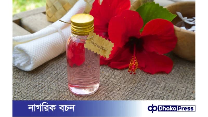 চুলের যত্নে কীভাবে ব্যবহার করবেন জবা ফুল চুলের যত্নে কীভাবে ব্যবহার করবেন জবা ফুল