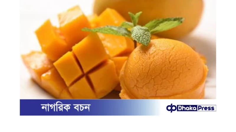 এই গরমে বাড়িতেই বানিয়ে ফেলুন পাঁকা আমের আইস্ক্রিম এই গরমে বাড়িতেই বানিয়ে ফেলুন পাঁকা আমের আইস্ক্রিম