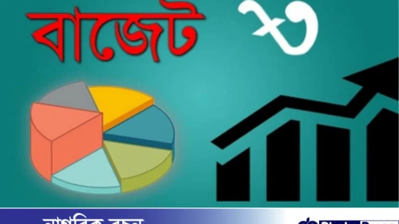 যেসব পণ্যের ভ্যাট বাড়তে পারে যেসব পণ্যের ভ্যাট বাড়তে পারে