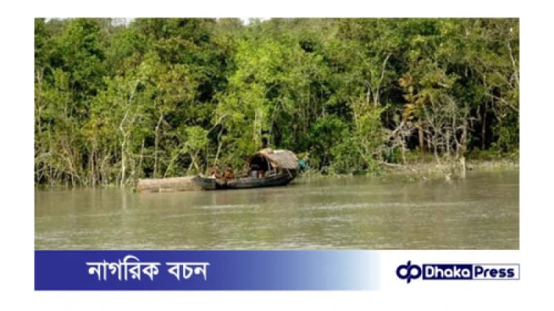 বাজেটে জলবায়ু পরিবর্তন খাতে বরাদ্দ বাড়লেও সুন্দরবন রক্ষায় নেই স্পষ্ট কোনো ঘোষণা বাজেটে জলবায়ু পরিবর্তন খাতে বরাদ্দ বাড়লেও সুন্দরবন রক্ষায় নেই স্পষ্ট কোনো ঘোষণা