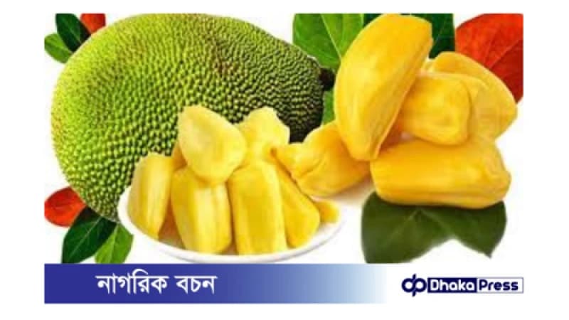 কাঁঠাল খেয়ে ভুলেও যেসব খাবার খাওয়া ঠিক নয়: কাঁঠাল খেয়ে ভুলেও যেসব খাবার খাওয়া ঠিক নয়: