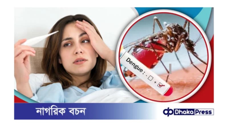 সাধারণ জ্বর না ডেঙ্গু ? সাধারণ জ্বর না ডেঙ্গু ?