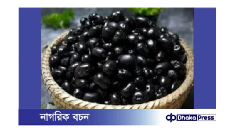 জামের অসাধারণ উপকারিতা: জামের অসাধারণ উপকারিতা: