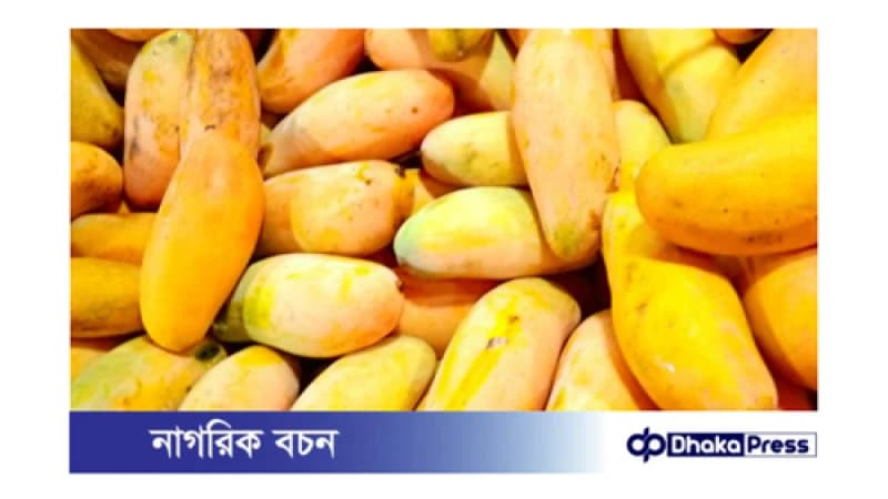 আম খাওয়ার পর ভুলেও খাবেন না যেসব খাবার আম খাওয়ার পর ভুলেও খাবেন না যেসব খাবার
